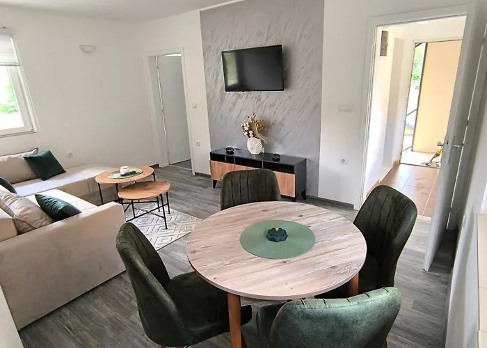 Removic 伊万尼察