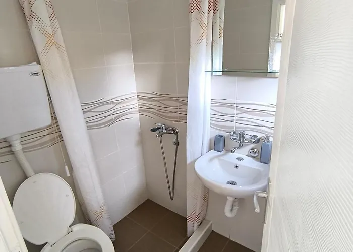 Removic * 伊万尼察