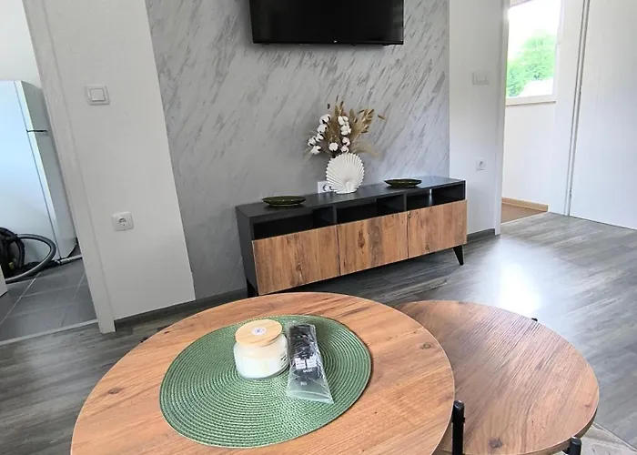 公寓 Removic 伊万尼察